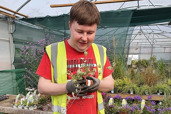 A young man potting up a plant